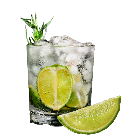 Prato Casa das Gatas