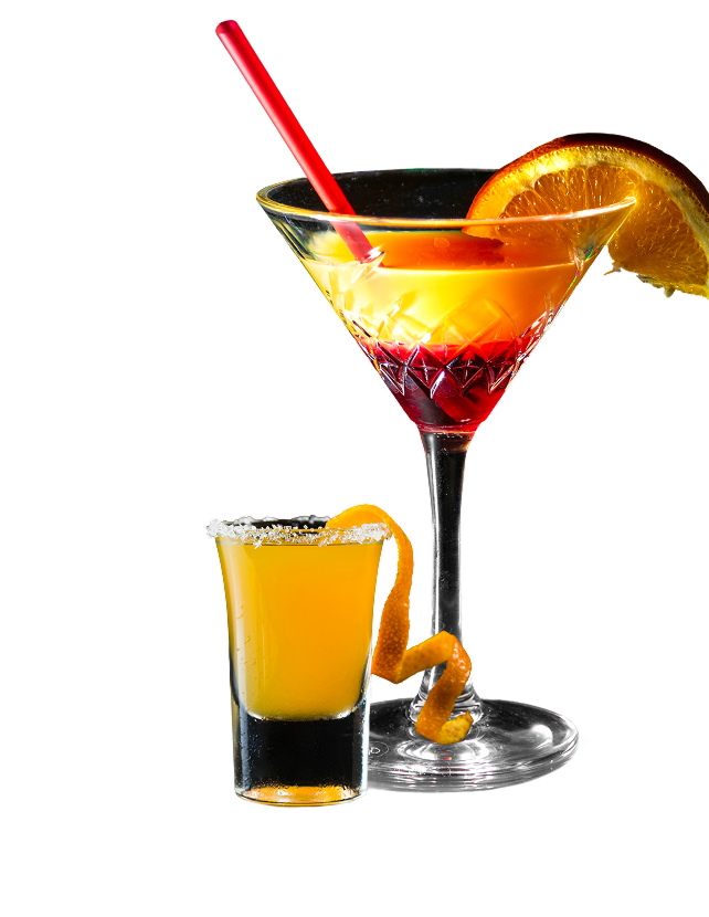 Prato Casa das Gatas